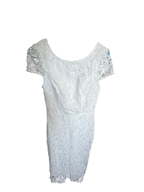 Blush MarkWhite Lace Dress - Picture 2 of 5